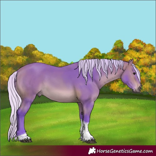 Horse Color:Watercolor Silver Bay Tobiano Rabicano