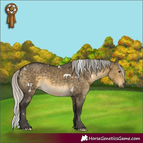 Horse Color:White Spotted Silver Buckskin Dun 