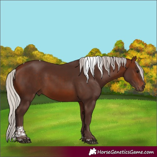 Horse Color:Silver Bay Tobiano 