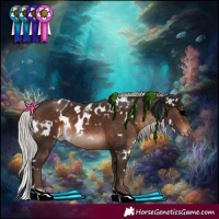 Horse Color:White Spotted Silver Brown Tobiano Skewed LP Spotted 