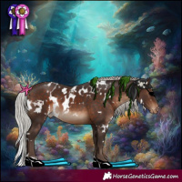 Horse Color:White Spotted Silver Brown Tobiano Skewed Appaloosa 