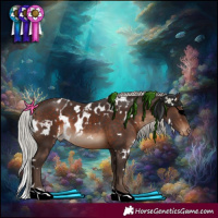 Horse Color:White Spotted Silver Brown Tobiano Skewed Appaloosa 