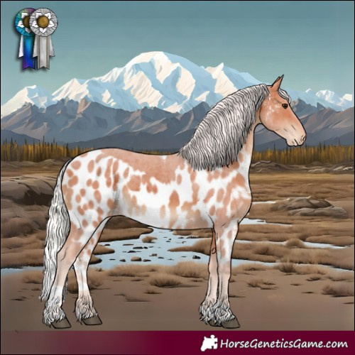 Horse Color:Silver Brown Tobiano Skewed Appaloosa Rabicano 