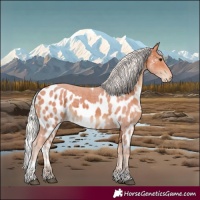Horse Color:Silver Brown Tobiano Skewed Appaloosa Rabicano 