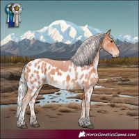 Horse Color:Silver Brown Tobiano Skewed Appaloosa Rabicano 