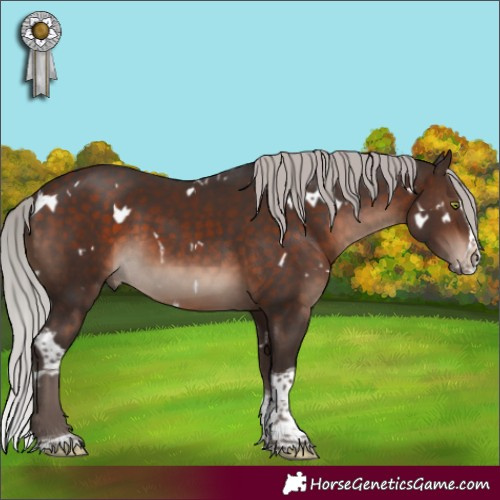 Horse Color:White Spotted Silver Brown Mushroom Splash Tobiano Rabicano 