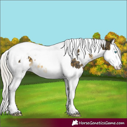 Horse Color:White Spotted Silver Buckskin Mushroom Splash Tobiano 
