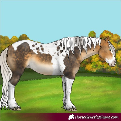Horse Color:Silver Buckskin Mushroom Splash Tobiano 