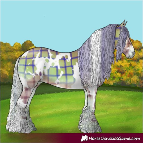 Horse Color:Watercolor Plaid  White Spotted Silver Bay Onyx 
