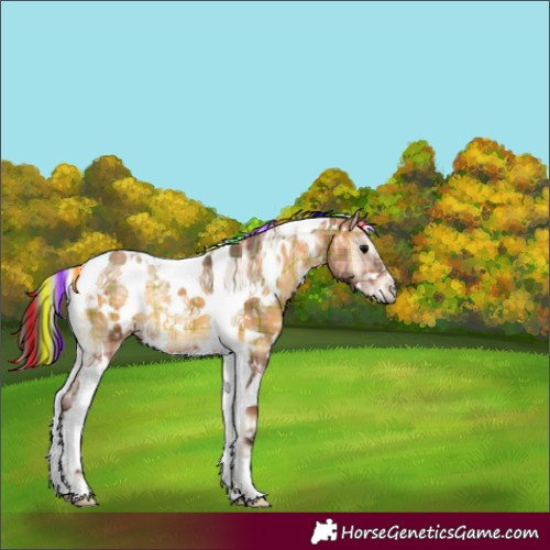 Horse Color:Painted Plaid  White Spotted Bay Ice Onyx Tobiano 