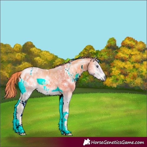Horse Color:Watercolor White Spotted Liver Red Onyx Chinchilla Ice 