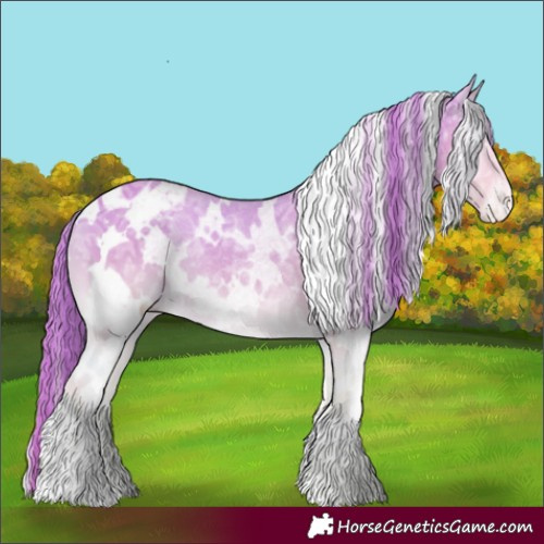 Horse Color:Watercolor White Spotted Liver Red Onyx Chinchilla Ice Appaloosa