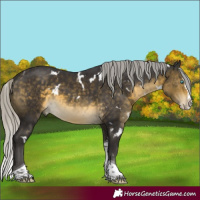 Horse Color:White Spotted Silver Buckskin Mushroom Splash Tobiano Rabicano