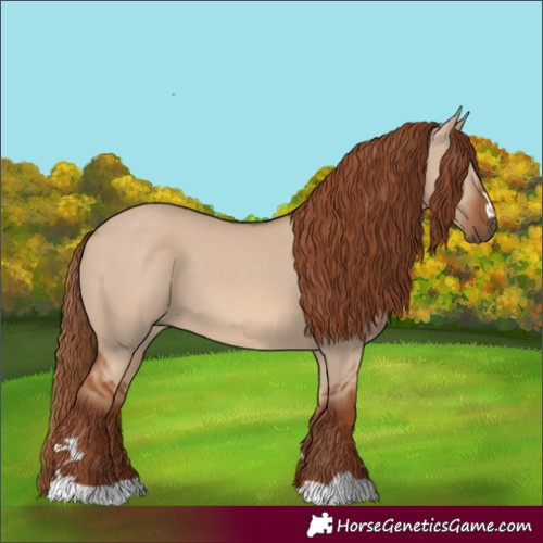 Horse Color:Unknown 