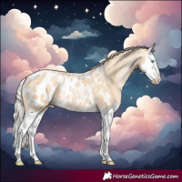 Horse Color:Silver Smoky Black Pearl Splash Blanket 