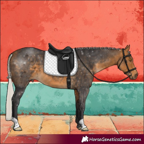 Horse Color:Silver Buckskin 