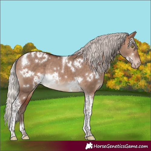 Horse Color:White Spotted Silver Brown Dun Mushroom Tobiano Appaloosa Rabicano 