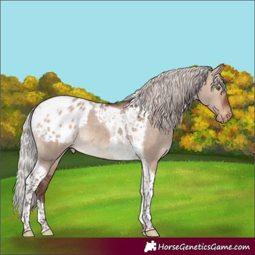 Horse Color:Silver Brown Dun Mushroom Tobiano Blanket 