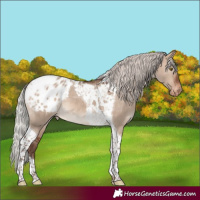 Horse Color:Silver Brown Dun Mushroom Tobiano Blanket 