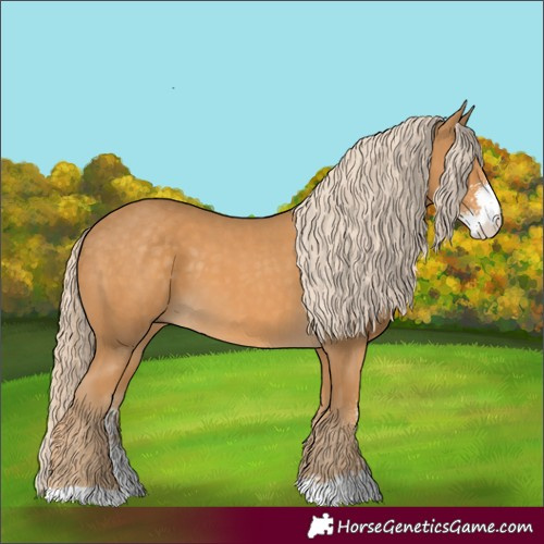 Horse Color:Palomino Sabino
