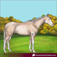 Horse Color:Silver Sable Champagne Pearl Sabino Rabicano