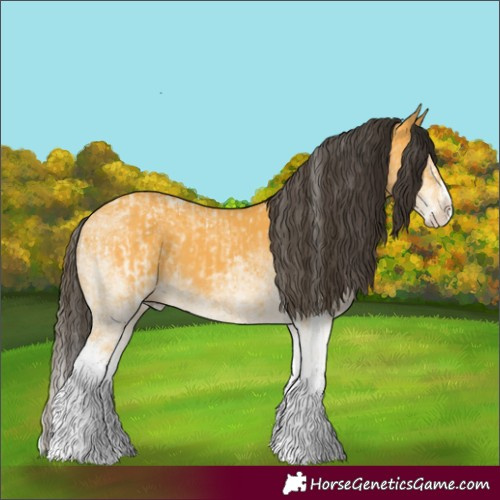 Horse Color:White Spotted Buckskin Splash  and White Spotted Buckskin Splash 