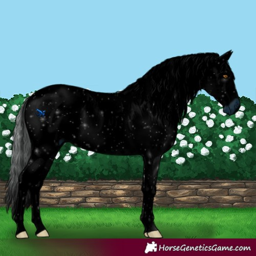 Horse Color:ERROR: UNKNOWN ANOMALY