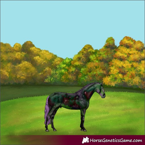 Horse Color:ERROR: UNKNOWN ANOMALY