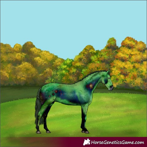 Horse Color:ERROR: UNKNOWN ANOMALY