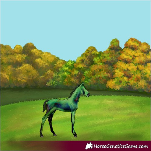 Horse Color:ERROR: UNKNOWN ANOMALY