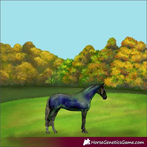 Horse Color:ERROR: UNKNOWN ANOMALY