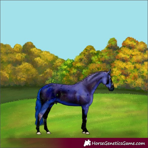 Horse Color:ERROR: UNKNOWN ANOMALY