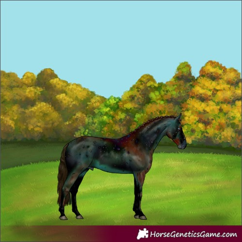 Horse Color:ERROR: UNKNOWN ANOMALY