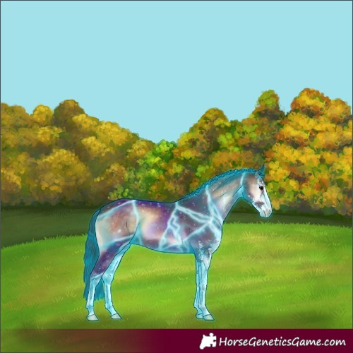 Horse Color:Thunderstruck Brown Onyx Sabino 