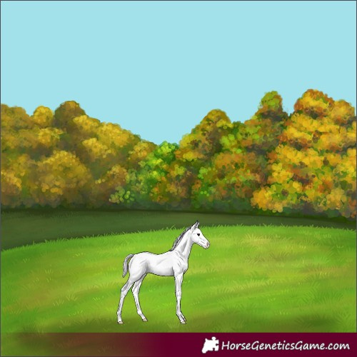 Horse Color:Watercolor Silver Buckskin Onyx Sabino 