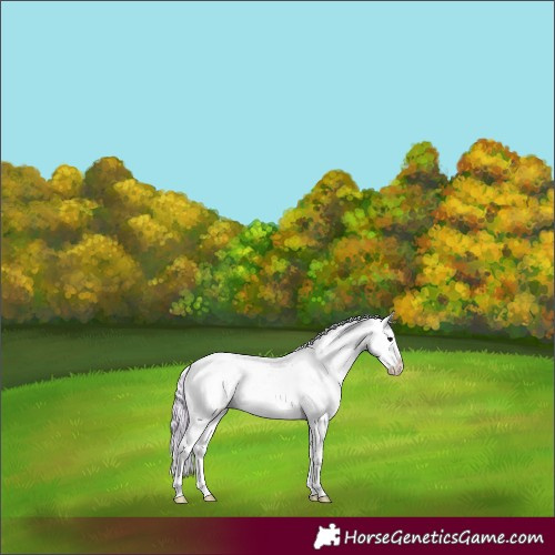 Horse Color:Watercolor Silver Buckskin Onyx Sabino 