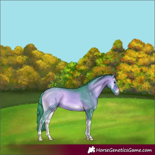 Horse Color:Watercolor Bay Onyx