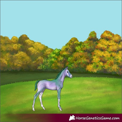 Horse Color:Watercolor Bay Onyx 