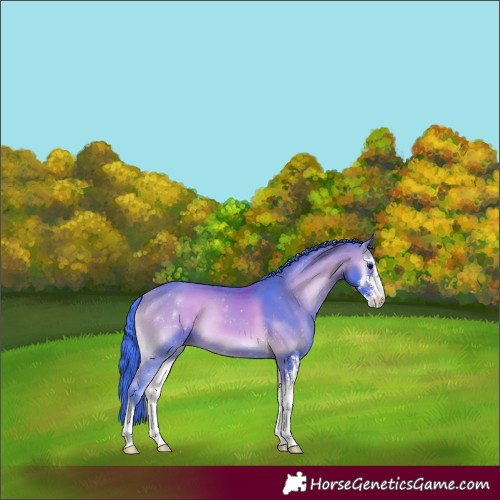 Horse Color:Watercolor Bay Onyx Sabino