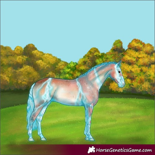 Horse Color:Thunderstruck Silver Bay Onyx Sabino