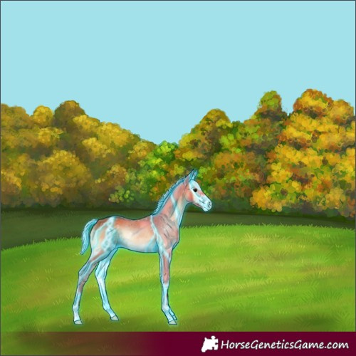 Horse Color:Thunderstruck Silver Bay Onyx Sabino 