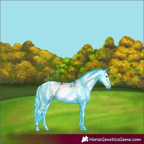 Horse Color:Thunderstruck Silver Bay Ice Onyx Sabino Tobiano