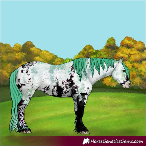 Horse Color:Watercolor Brown Ice Onyx Sabino Tobiano 