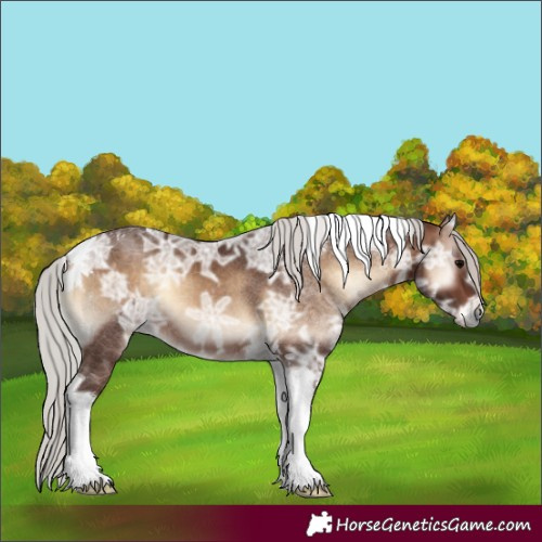 Horse Color:Silver Brown Ice Onyx Tobiano 