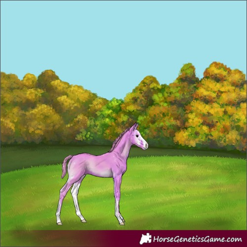 Horse Color:Watercolor Brown Onyx 
