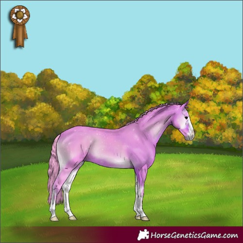 Horse Color:Watercolor Brown Onyx 