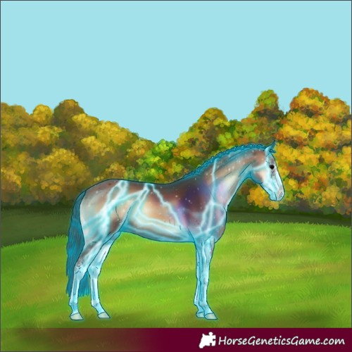 Horse Color:Thunderstruck Brown Onyx Sabino 