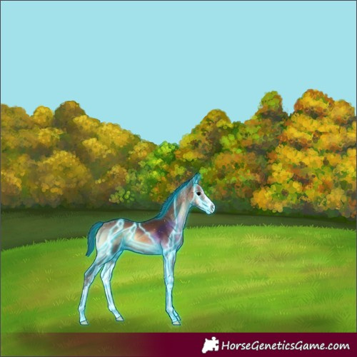 Horse Color:Thunderstruck Brown Onyx Sabino 