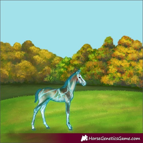 Horse Color:Thunderstruck Brown Onyx 