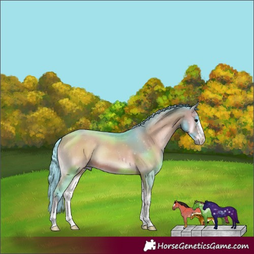 Horse Color:Watercolor Brown Onyx